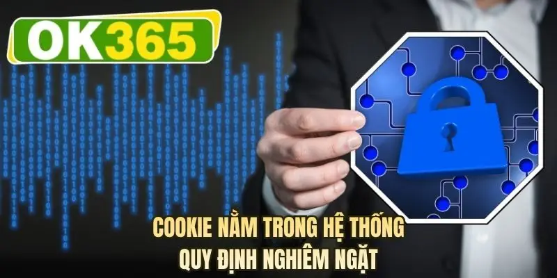 Cookie nằm trong hệ thống quy định nghiêm ngặt