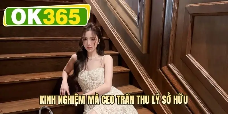 Kinh nghiệm mà CEO Trần Thu Lý sở hữu
